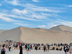 -金塔沙漠胡杨林景区