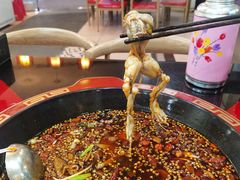 -烧哥美蛙肥肠鱼火锅·十五年社区店