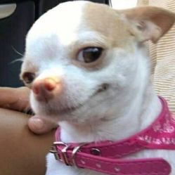 -MAGSTUDIO美格造型