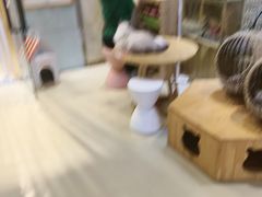 -藏猫猫咖啡主题馆(中央大道店)