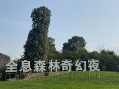 -秀丽东方