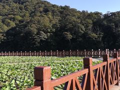 -广州市石门国家森林公园