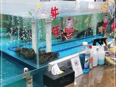 水产区-七味轩中华传统文化主题酒楼(泽信广场店)