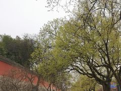 -大雁塔北广场音乐喷泉