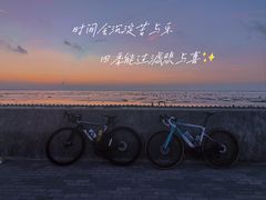 -南汇新城海滩