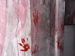-Xcape异时刻密室逃脱魔法互动(瑞虹天地太阳宫店)