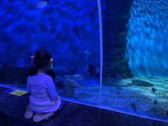 -多彩贵州城极地海洋世界