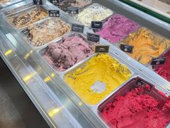 -Patagonia Chocolates(皇后镇店)