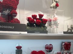-ROSEONLY诺誓(广州K11店)