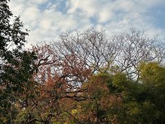 -人民公园(罗湖区)