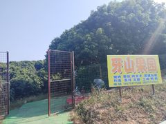 -牙山果园·烧烤野炊·钓鱼团建·烤全羊