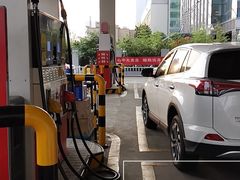 -中国石油徐东路加油站(武汉大道店)