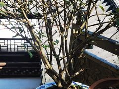 -宋宴(虎跑店)