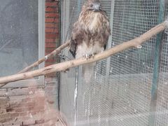 -青岛森林野生动物世界