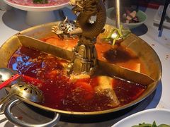 -小龙翻大江文化火锅(宽窄店)
