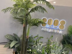 -八佰伴8008星级形象店