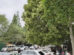 -中国医学科学院皮肤病医院