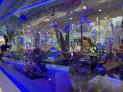 -海合安成都极地海洋公园