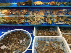 -北京清河镇农副产品交易市场中心