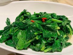 清炒豌豆尖-锦府盐帮·私宴(赛特店)