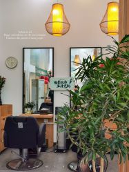 -章光101防脱养发荟