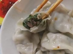 韭菜鲜肉饺-袁记云饺(邯郸路店)