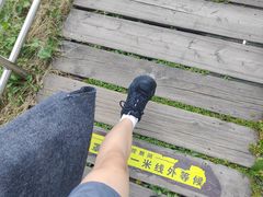 -魔都矩阵