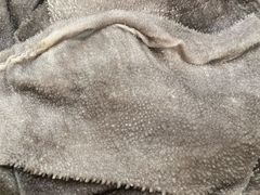 -储奇门鳝鱼火锅(总店)