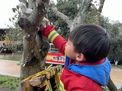 -杭州开元森泊度假乐园