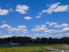 -北陵公园