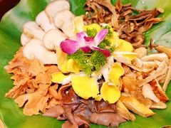 -大理董·董家小厨野生菌火锅(古城旗舰店)