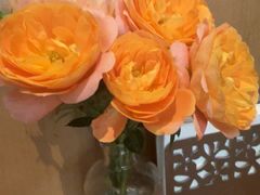 -良木缘咖啡西餐(川大店)