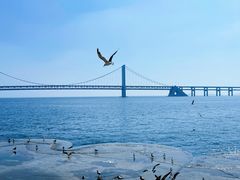 -星海广场