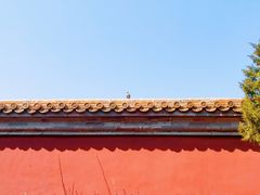 -北京市劳动人民文化宫