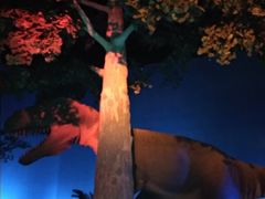 -世界恐龙谷景区