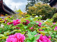 -龙华寺