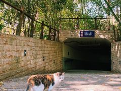 -苏州河梦清园环保主题公园