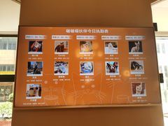 -啵啵喵·猫咖(攀华国际店)
