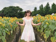 -荷兰花海
