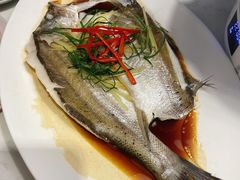 清蒸海鲈鱼-外婆小聚茶餐厅·生日·团建(市民中心店)