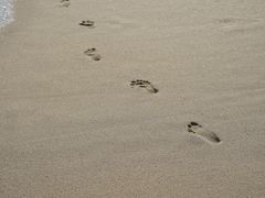 -西涌国际滨海旅游区