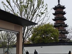 -龙华素斋(龙华路店)