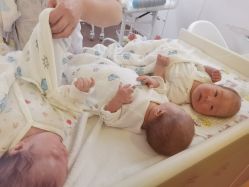 -海豚湾高端月子会所(黄浦店)