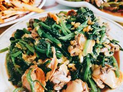 -青岛锅贴(洛阳路分店)