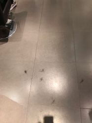 -东方麒麟·潘多拉SALON