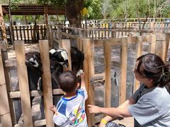 -水上乐园·欢乐世界