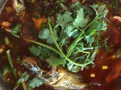 -胖大姐黄辣丁鱼庄(新津店)