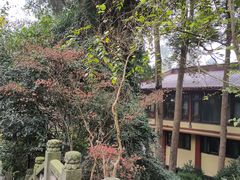 -都江堰普照寺