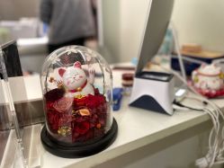 -联合丽格·张菡丽格医疗美容