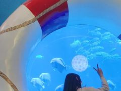 -烟台海昌鲸鲨海洋公园